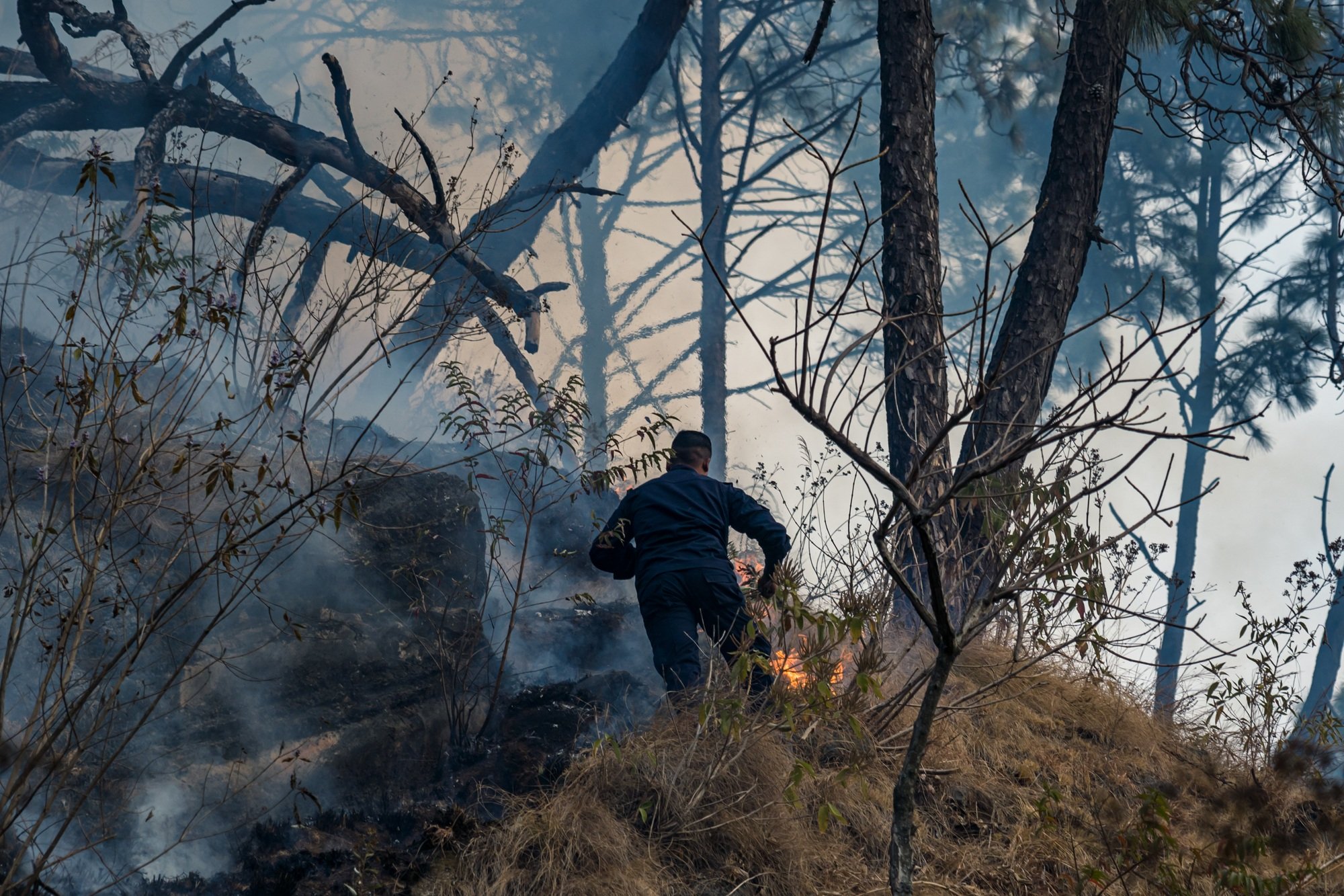 Forest Incinerated by Fires in Hattiban, Kathmandu, Nepal.