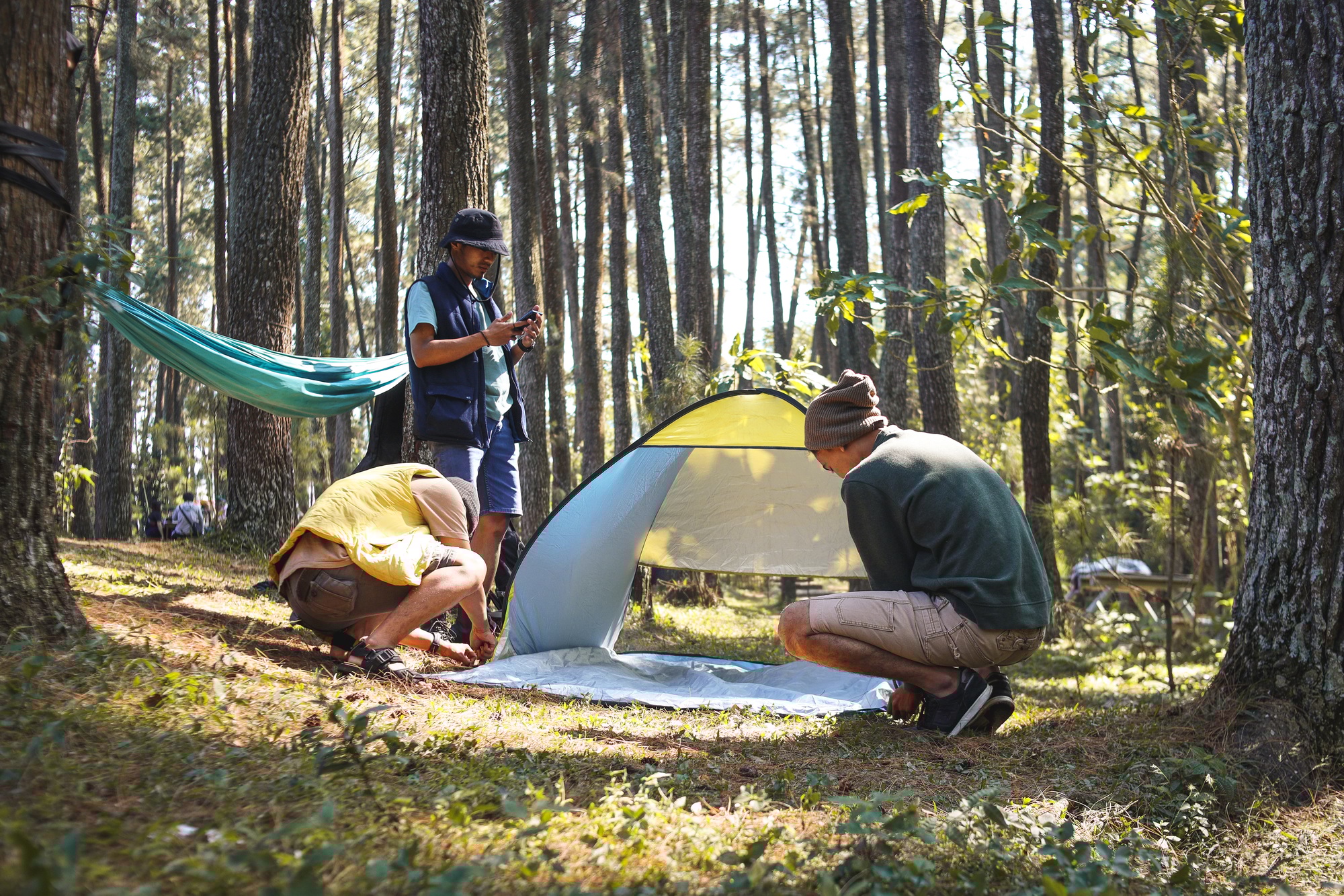 Group of diverse friends set up a tent in pine forest park.