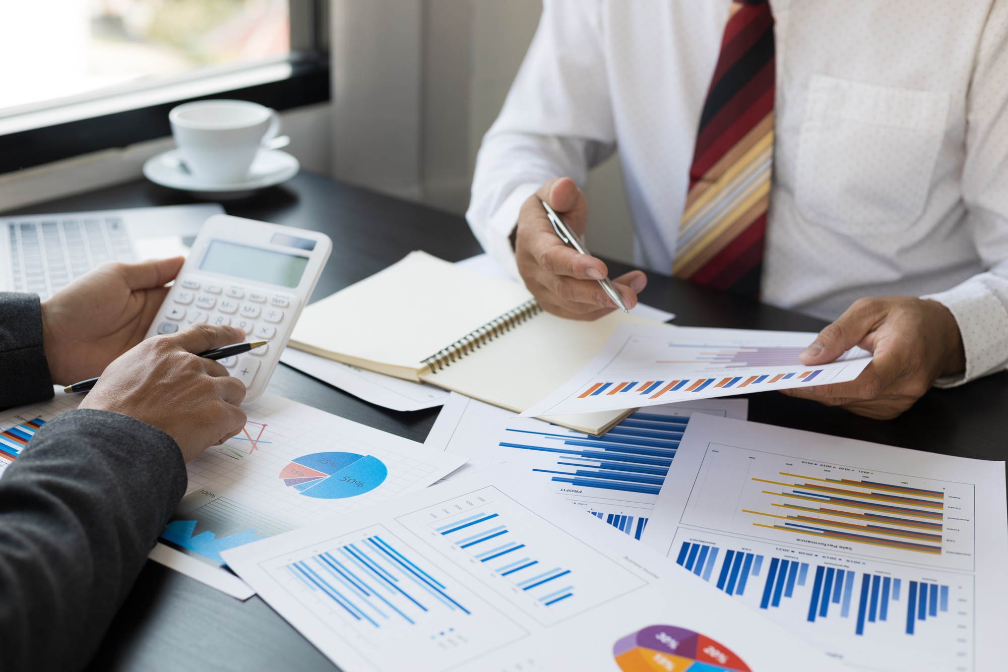Investment advisor, financial advisor, and accounting.