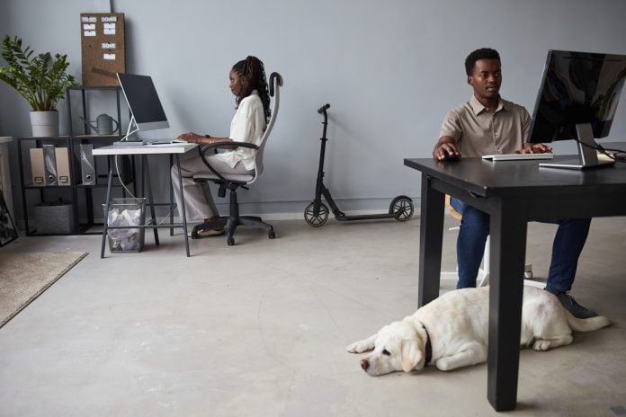 Pet Friendly Office
