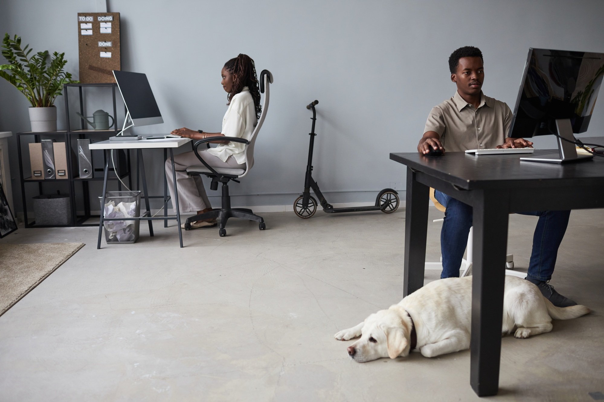 Pet Friendly Office