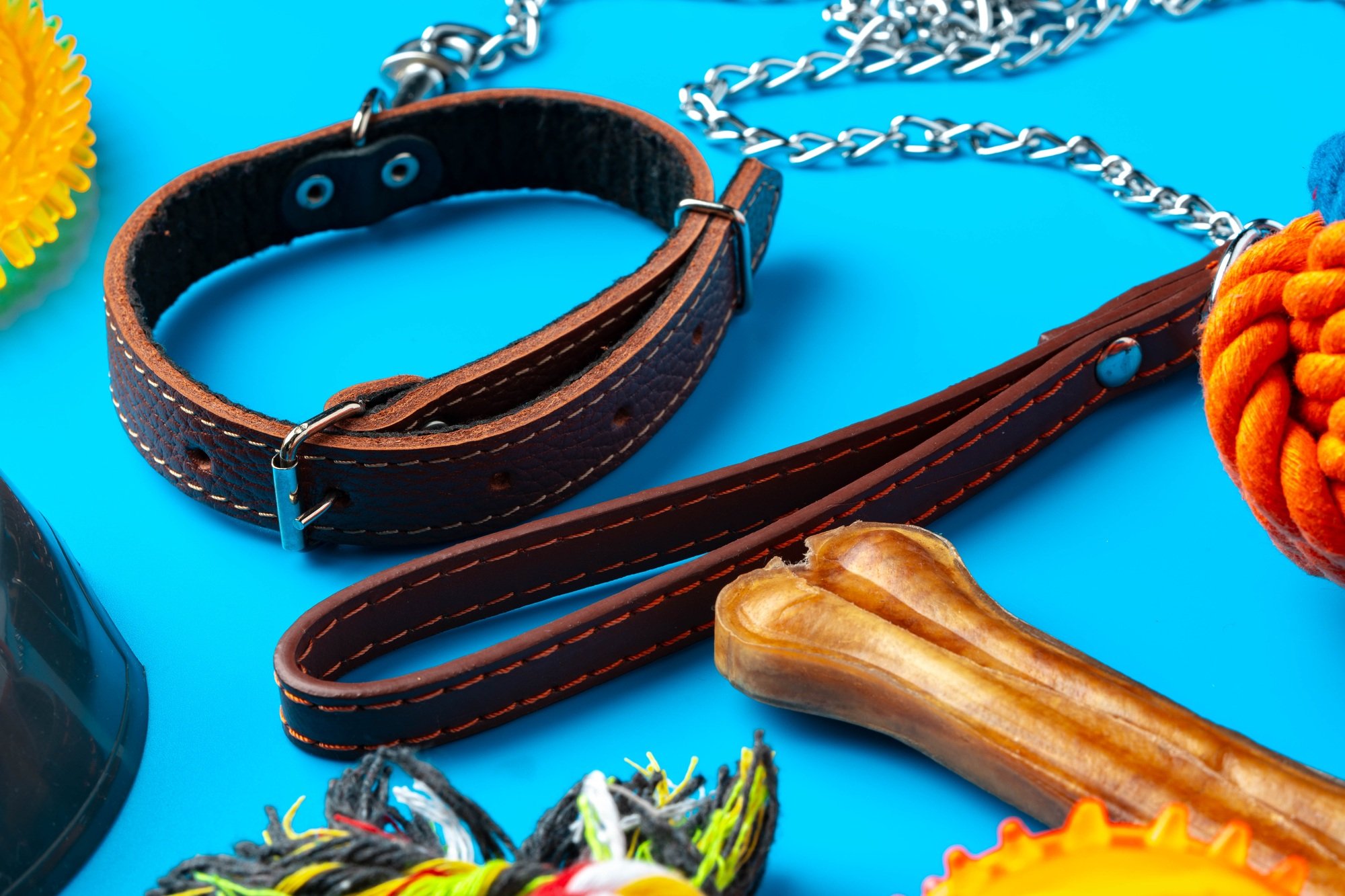 Treats and toys for dogs on blue background close up