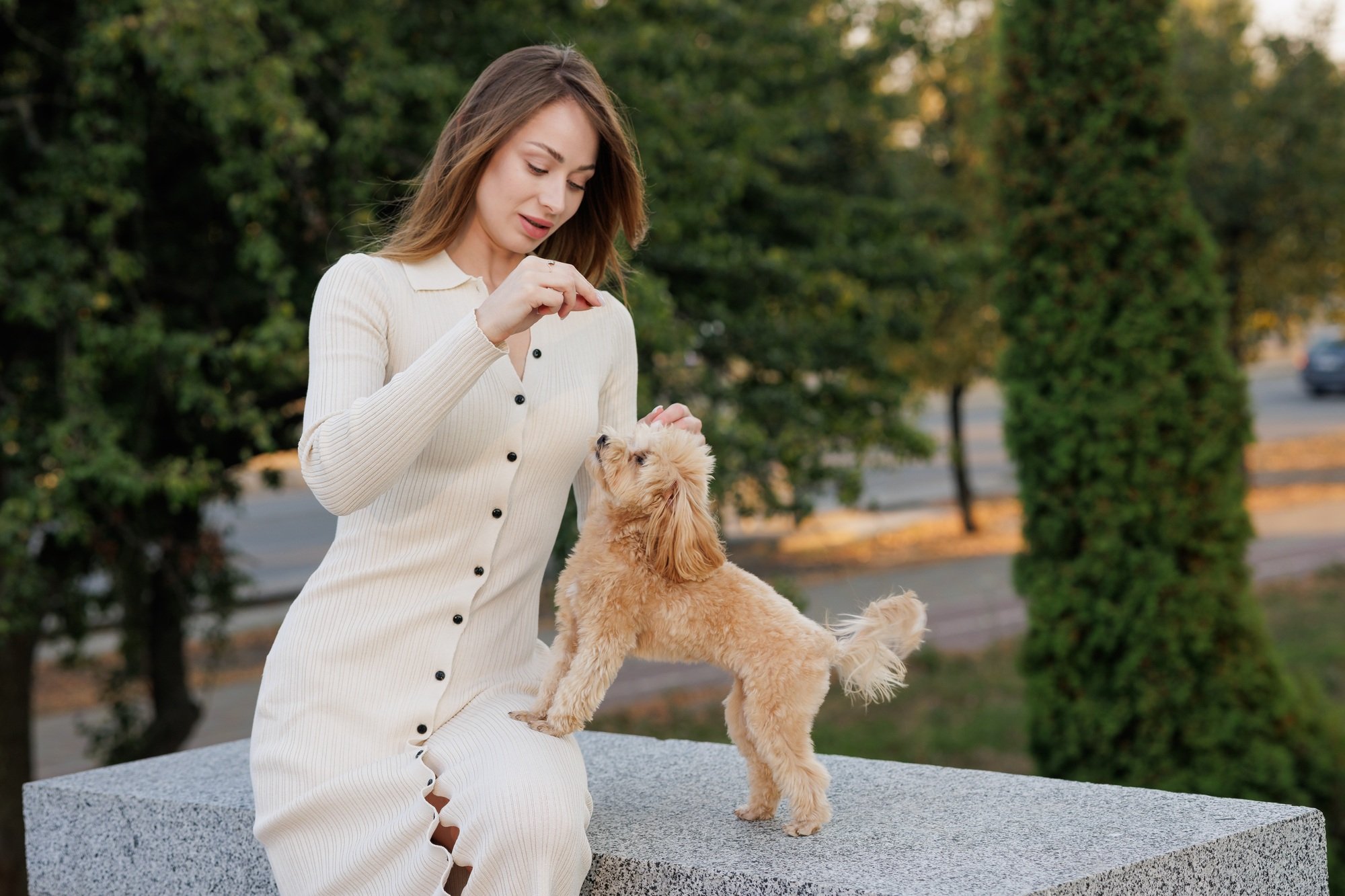 Woman giving treat to cute dog during outdoor training session.