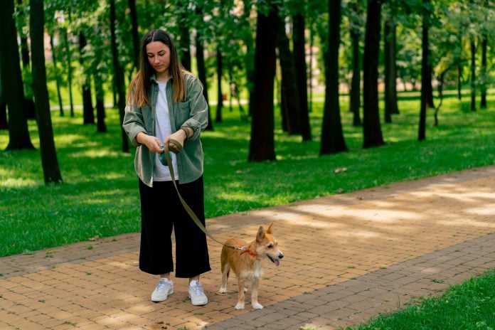 Woman picking up dog poop from the footpath in a city park